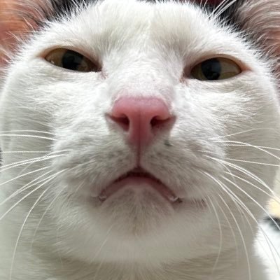 txdmntlis's profile picture. 👋🏻 我的中文名叫 张苏宁 是泰国人