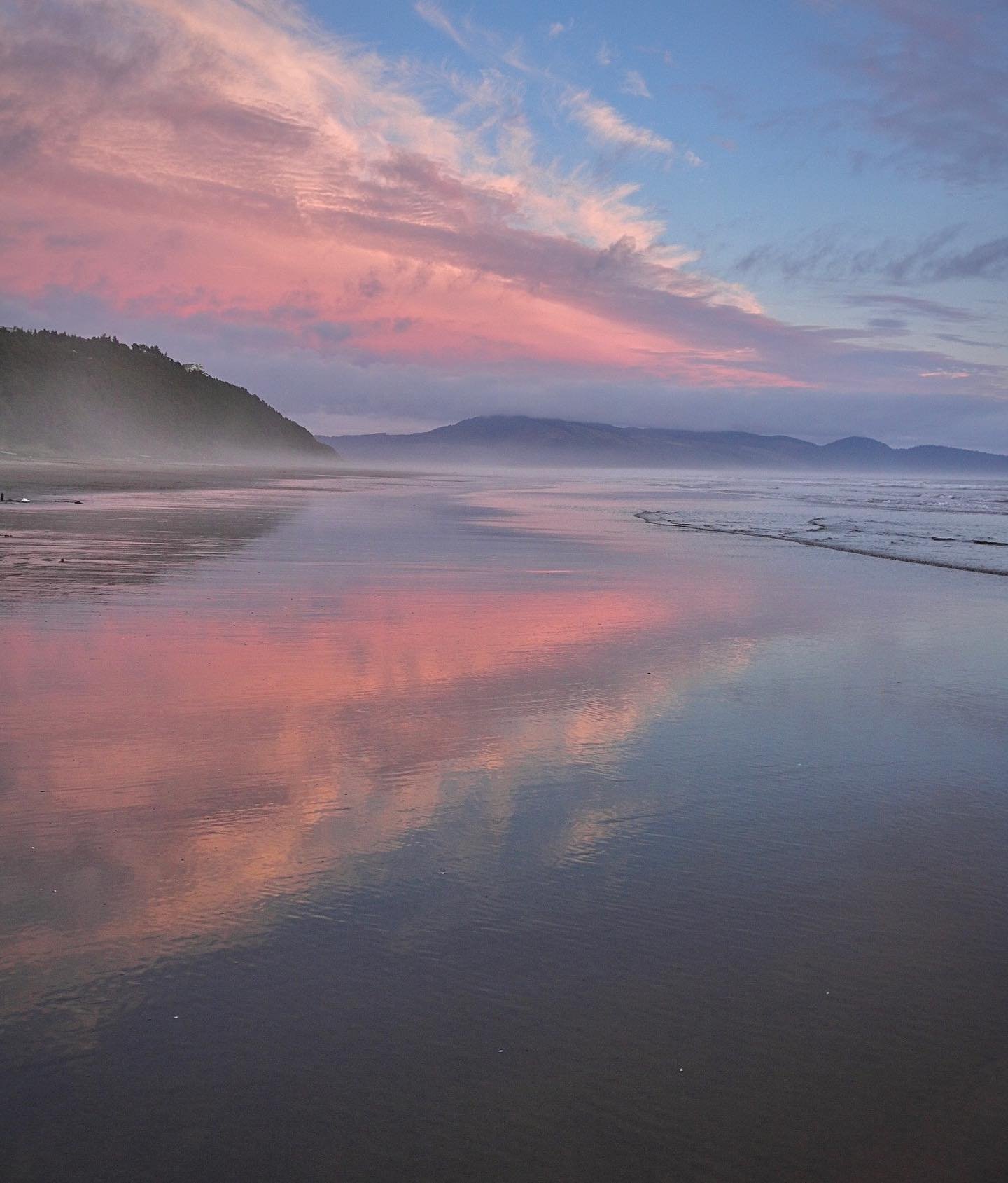 Mewc007's profile picture. 