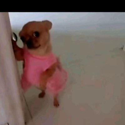 Tribewz's profile picture. 