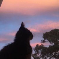 h.lenh (@h_lenh11) 's Twitter Profile
