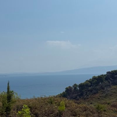 luiza_maths's profile picture. 