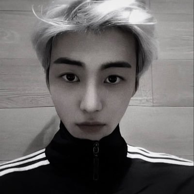 phidwangxj's profile picture. ไม่คิดมีรัก