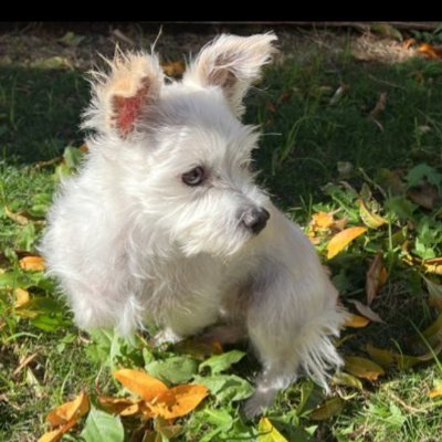 Fahad378337's profile picture. ♥️💝💖🥰🌹🤠❤️‍🩹🩵💙🩵❤️‍🩹💗💔💘💟🧡💓💘💓💟💟💓💘💔❤️‍🔥💙💙💔💚💚