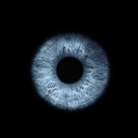 Wisdompark (@wisdompark3) 's Twitter Profile