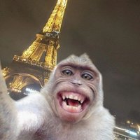 Mohd Afzan Solikin (@mohdsolikin) 's Twitter Profile