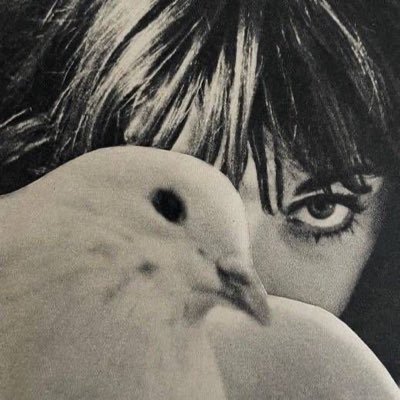 iplil4's profile picture. 