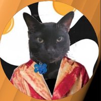 Breezyboi (@kittehdaboi) 's Twitter Profile Photo Breezyboi (@kittehdaboi) 's Twitter Profile Photo