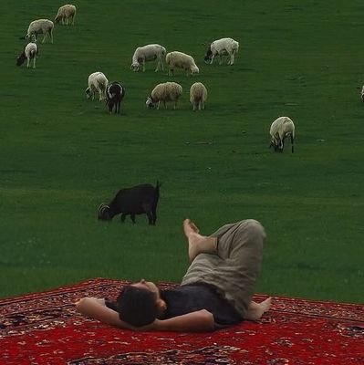 طالب علم
چوں شَمع از پے علِم بايد گدخت
کہ بے علم نتوان خدارا شناخت