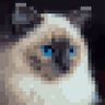 qaed_tfg's profile picture. 17, Blockchain, PM, Building @chainterface