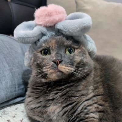 paslanmiscelik's profile picture. 