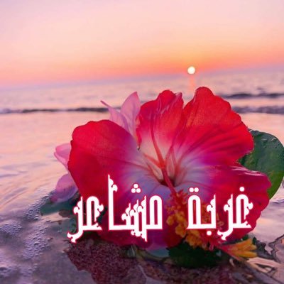 عوايد الناس من يجبر لها خاطر هو أخر إنسان في زحمة مشاعرها