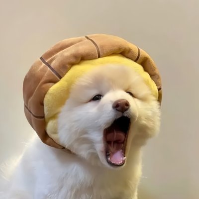 6crStndIDOwi8pf's profile picture. 本と珈琲と音楽があれば、それで十分。📚🎶