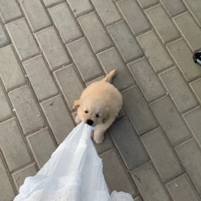 yyxyeden99's profile picture. less work ; sleep more 🌳