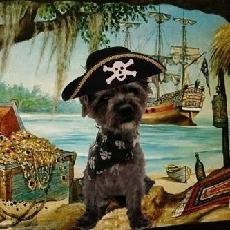 This account is all about me, Rory Bear 🐻. Me loves everyone especially me girlfren Paisley Bean 🥰 Major #ZSHQ Member of #TheRuffRiderz.