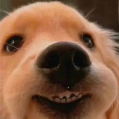 kistty_kk's profile picture. baekhyunee