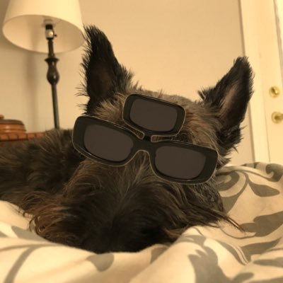 るいるいthe scottie公式アカウント🐕🦺 K9 Kazetarian/Fujii Kaze Playlists Moments👉🏼https://t.co/Cmy0uNWTrj