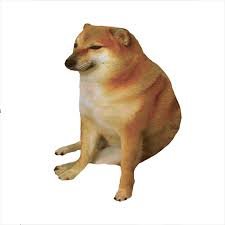 callmeperson23's profile picture. 