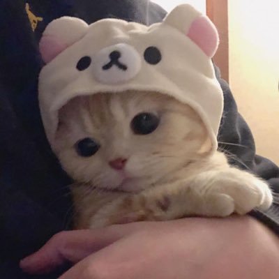 @PRIM_PMY