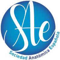 Sociedad Anatómica Española (@saeanatomia) 's Twitter Profile Photo