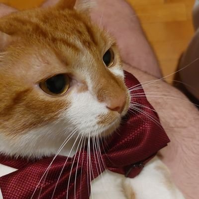 20 YO Proud Romanian🇷🇴❤
League of legends Passionate Coach for ?
I do stuff...