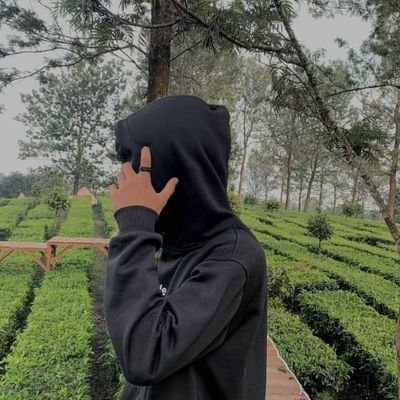 Andyy547136908's profile picture. 