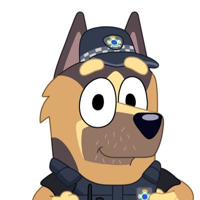 here to report exposing users and keep the bluey community safe for everyone DM IF YOU SEE SUSPICIOUS USERS OR EXPOSING CRIMES