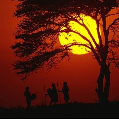 KipWhinz's profile picture. SAYING IT AS IT IS.