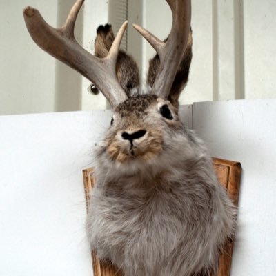 pbrmc24's profile picture. ☘️To be Irish is to know that in the end the world will break your heart.”