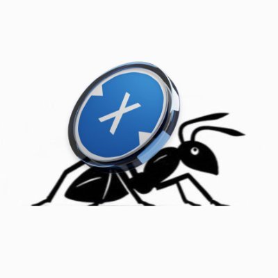 DEFIANT is an investment smart contract on the XDC Network blockchain that allows you to grow capital in DeFi using Network Marketing.