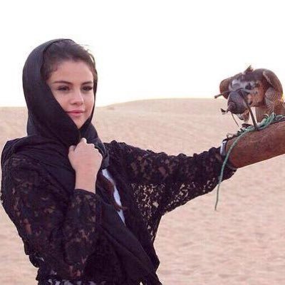 tombraiderinq's profile picture. main: @tombraidering