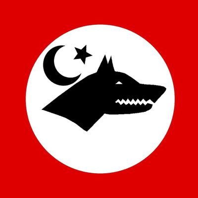 gioreiness's profile picture. Türkçü, anti komünist, nasyonal sosyalist, anti emperyalist, milliyetçi, hırt düşmanı, anti semitist, arap düşmanı, anti panslavist, anti bolşevik, ittihatçı