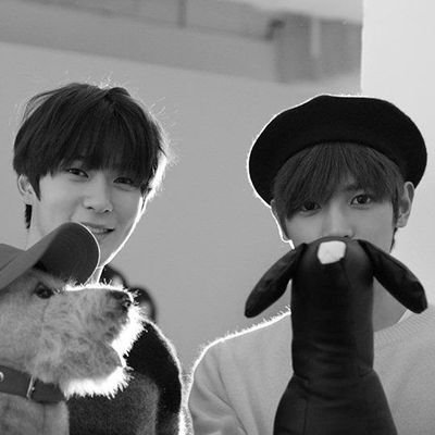 saytysay's profile picture. J

TY