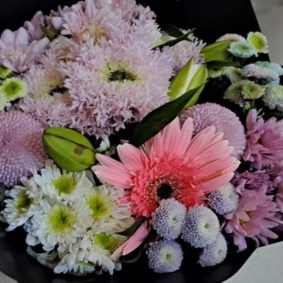 kvingmbh777's profile picture. 