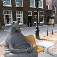 Aardko (@aardko) 's Twitter Profile