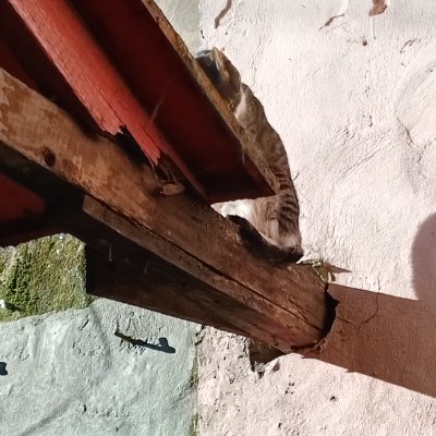Los escépticos se burlan, pero la mente lógica no puede penetrar ciertos laberintos sin perderse en su arrogancia.