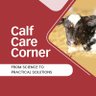 CalfCareCorner's profile picture. 🔬 From science to practical solutions 
🐄 Calf health • Welfare • Nutrition 
💡 Real-world tips for everyday challenges 
📍 Canadian insights & support