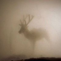 Jayce🦌🫀 (@jaycesdesign) 's Twitter Profile