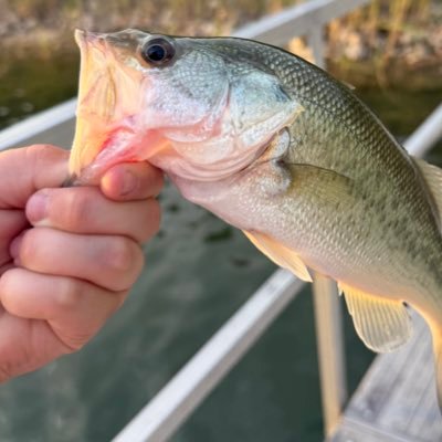 I love fishing, hunting, riding bikes and everything outdoors! YouTube:Outdoors with Austin