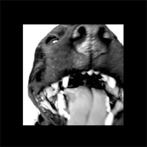 BAND. LONDON. UK.

Follow us. We will follow you back. To your house.