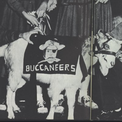 Race Cars, College Football, Hillbilly Music, Dogs, John Ford Movies