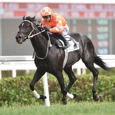 🐎 Yarışları AGF’ye göre değil form durumuna göre çözerim
🎯 Banko – Sürpriz – Kombine oyunlar
📬 Takipte kal, kazanmayı öğren