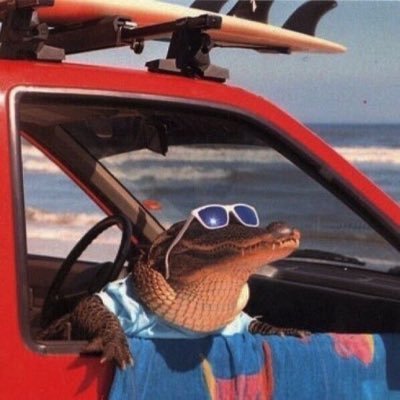 Born and raised Texan ll @SKYWARN certified weather spoter ll beep beep goes the dominator