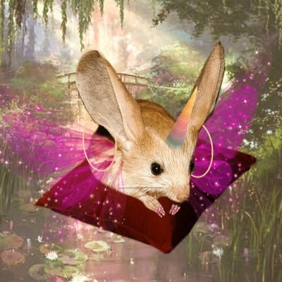 crankyworm's profile picture. bag of spirits known as thomas 🌻 dissociative 🌻 28yrs 🌻 he/it 🌻 priv for @crankysystem 🌻 sometimes trigger warnings ⚠️ but not always 🌻 28yrs