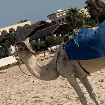 bustedcartel's profile picture. 🥷🌍 
Stay up-to-date on global crime news, your source for real-time updates.
📍Worldwide
IG: busted.cartel
TikTok: busted.cartel