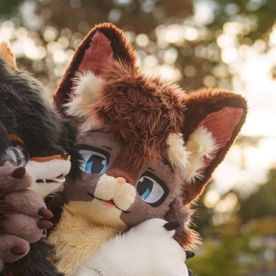 I'm just a 30 year old Wolf from south germany.
I'm a MLS(MTL) working in a small hospital
I'm here to make your day!