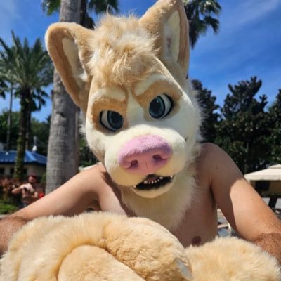 He/Him | Dumb Dog | 🏳️🌈 | Forklift Certified/Professional Best Boy. 18+, NO MINORS🔞 🪡: @DensCreations