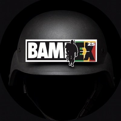Bamakoexpo's profile picture. BAMAKO EXPO - BAMEX (Bamako Expo) is set to become one of the largest and most
influential defense exhibitions globally, as well as the largest defense