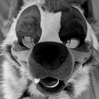 russ (@arcstuks) 's Twitter Profile Photo russ (@arcstuks) 's Twitter Profile Photo