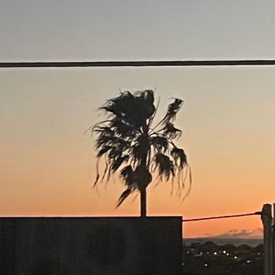 oliverwcowdrey's profile picture. 