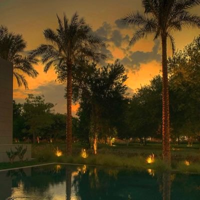 abofaris7654's profile picture. 